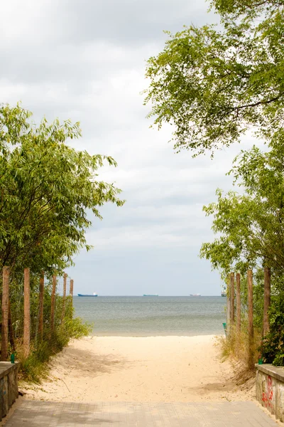 Summer vacation. Entrance to a sandy beach. Seascape. — Stock Photo, Image