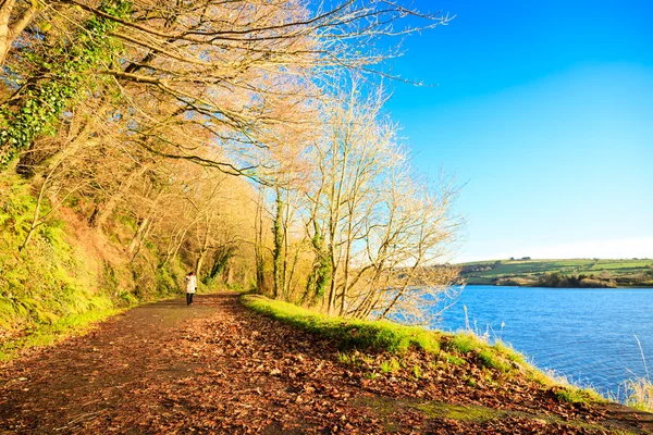 Sonbahar Park'ta rahatlatıcı yürüyen kadın. co.Cork, İngiltere. — Stok fotoğraf