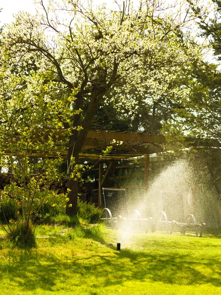 Jardinería. Aspersor de césped rociando agua sobre hierba. — Foto de Stock