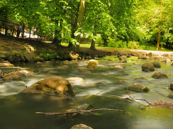 Stones in woods forest. stream in gdansk oliva park. — Stock Photo, Image