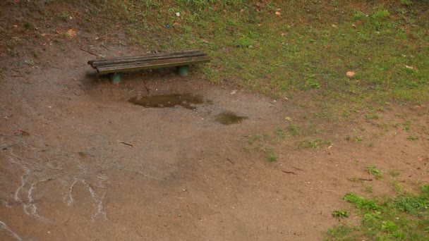 Lluvia en el parque — Vídeo de stock