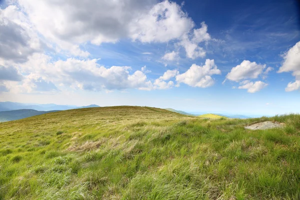 Naturaleza. Paisaje verde de montaña en verano —  Fotos de Stock