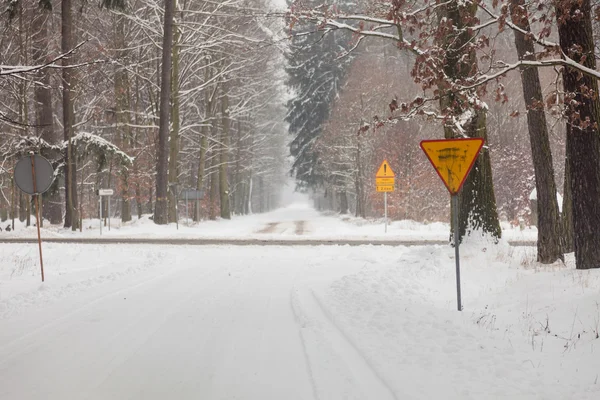 在冬季森林雪巷路. — 图库照片