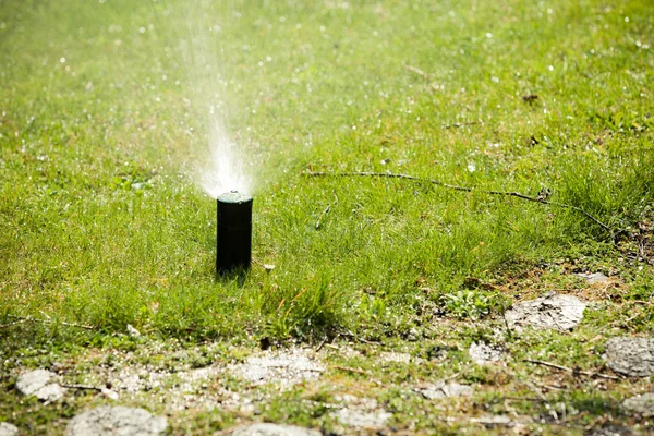 Trädgårdsarbete. Gräsmatta sprinkler sprutning vatten över gräs. — Stockfoto