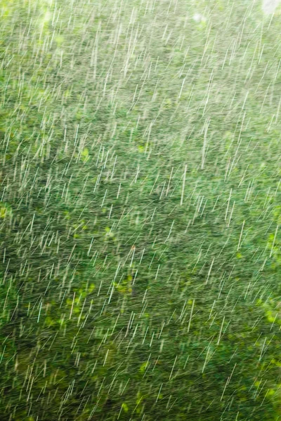 Verão chuvoso fora da janela — Fotografia de Stock