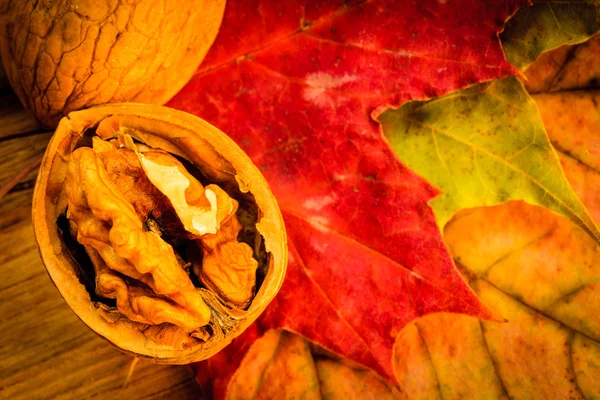 Noce su foglie autunnali colorate — Foto Stock