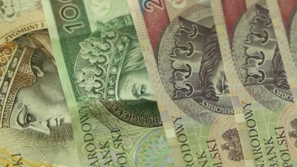 Peníze polský zlotý — Stock video