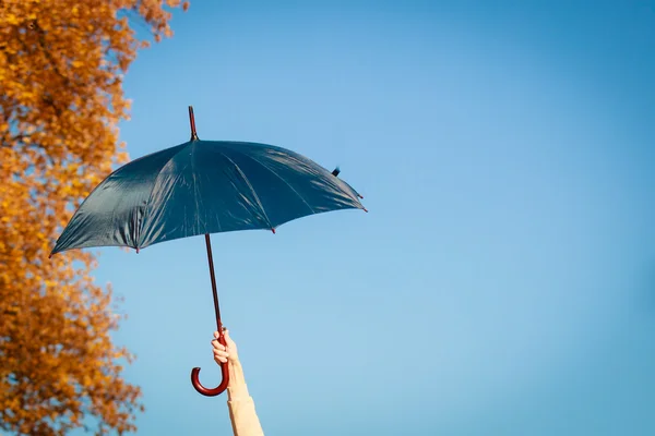 Paraply i hand — Stockfoto