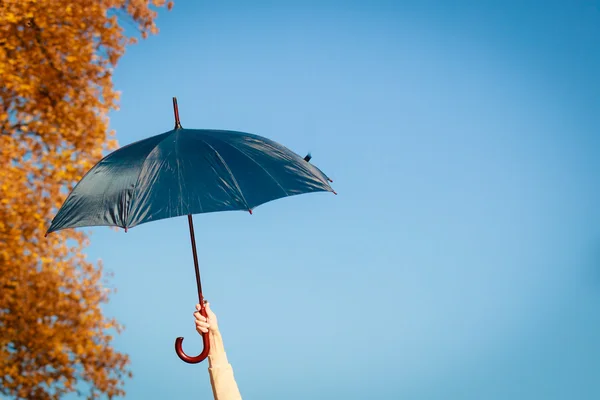 Umbrella in hand — Stock Photo, Image