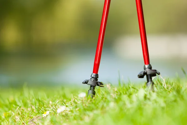 Red sticks on grass in park — Stock Photo, Image