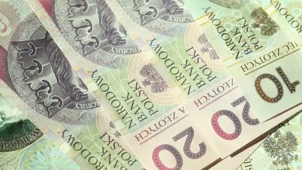 Polish Zloty banknotes — Stock Video