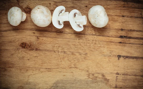 Čerstvé bílé houby champigonons — Stock fotografie