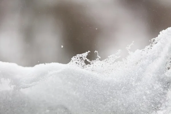 新雪背景 — 图库照片