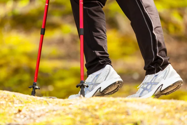 Kadın bacakları ormanda hiking — Stok fotoğraf