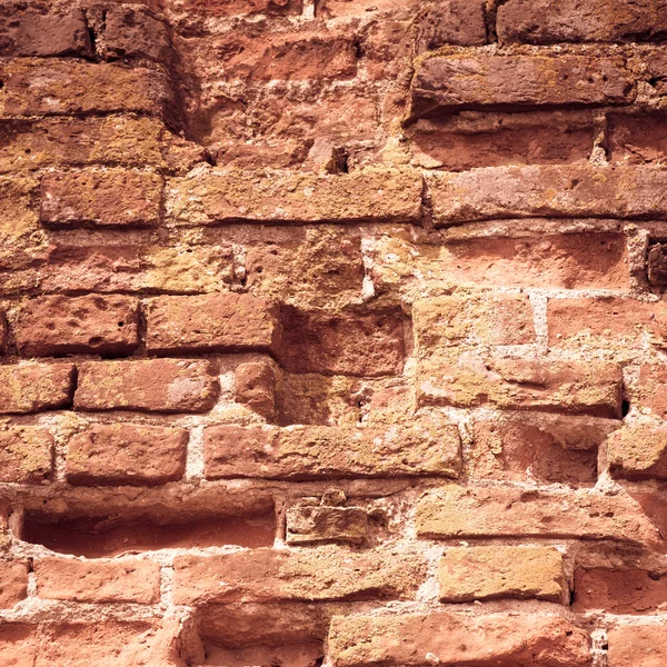 Red brick wall texture — Stock Photo, Image