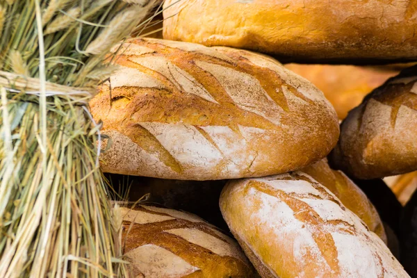 Many fresh rye bread loaves — Stock Photo, Image