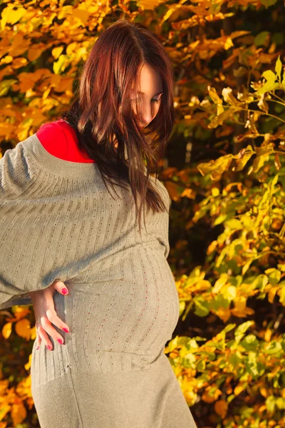 Pregnant woman in park outdoor — Stock Photo, Image