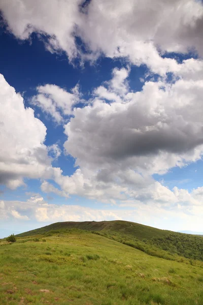 Paesaggio verde di montagna in estate — Foto Stock