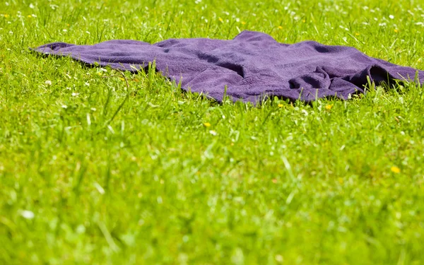 Вайолет одеяло на траве — стоковое фото