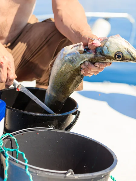 Человек чистки рыбы на открытом воздухе — стоковое фото