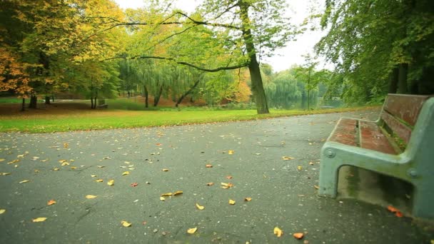 Banco en el parque — Vídeos de Stock