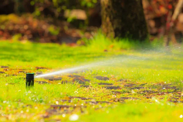 Spridaren sprutar vatten över gräs — Stockfoto