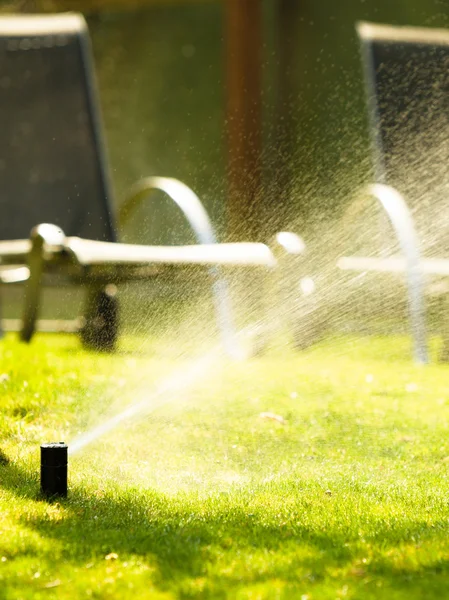 Spridaren sprutar vatten över gräs — Stockfoto