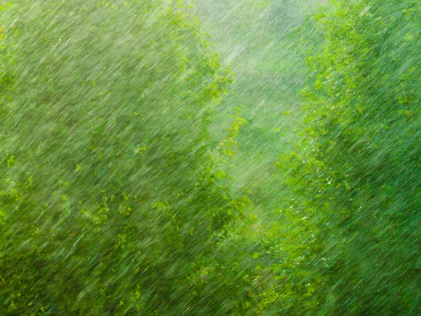 Summer rainy outside window — Stock Photo, Image