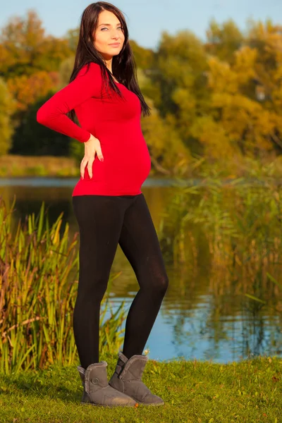 Femeie gravidă calmă în parc — Fotografie, imagine de stoc