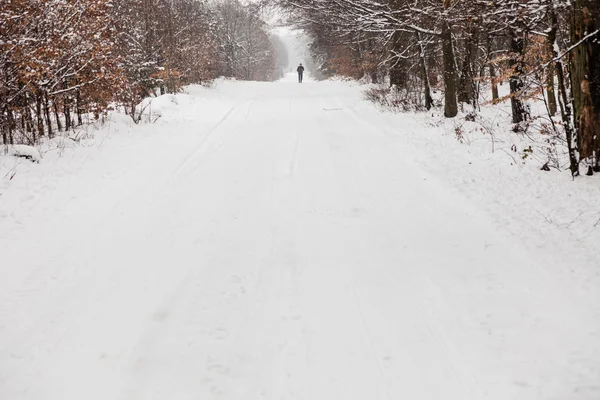 Снежная дорога в зимнем лесу . — стоковое фото