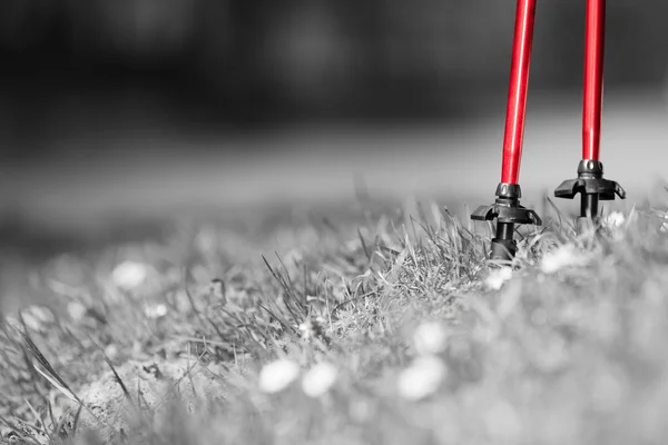 Nordic walking. Czerwony laski na trawie w parku — Zdjęcie stockowe