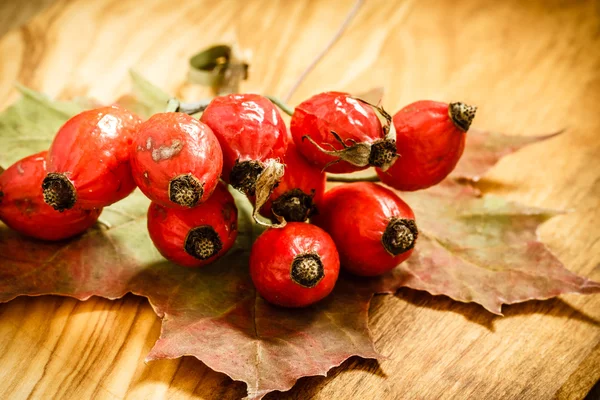 Hawthorn on wooden table background — Stock Photo, Image