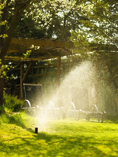 Giardinaggio. Irroratore per prato spruzzando acqua sull'erba. — Foto Stock