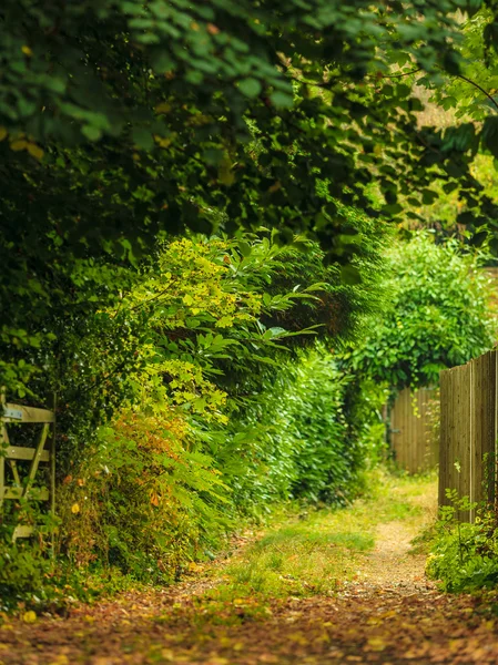 Rustic gate in countryside — Stock Photo, Image