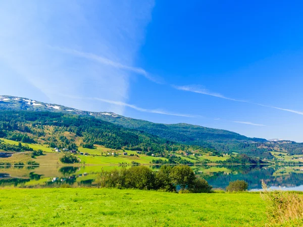 Fjord in Norway. — Stock Photo, Image