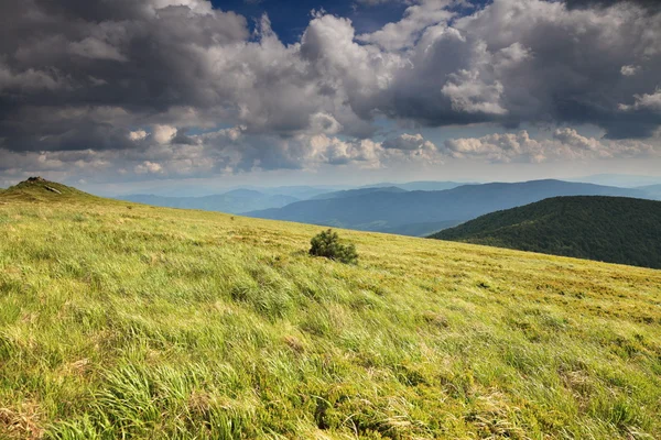 Naturaleza. Paisaje verde de montaña en verano — Foto de Stock