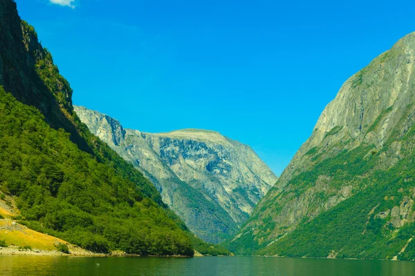 Turizm ve seyahat. dağlar ve Norveç Fiyordu. — Stok fotoğraf