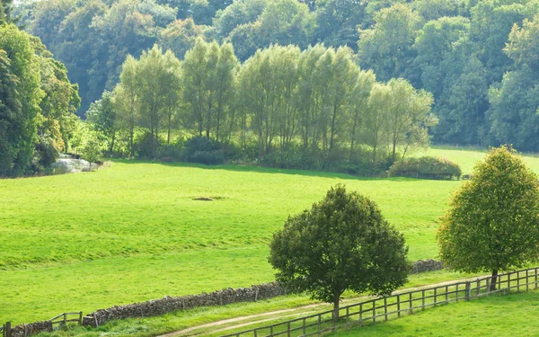 Green field in countryside — Stock Photo, Image