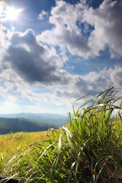 Nature. Field mountain landscape in the summer — Stock Photo, Image