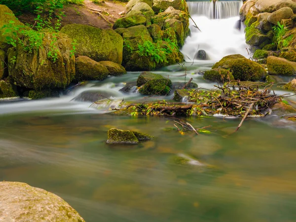 Waterfall in woods green forest. stream in oliva park gdansk. — Stock Photo, Image