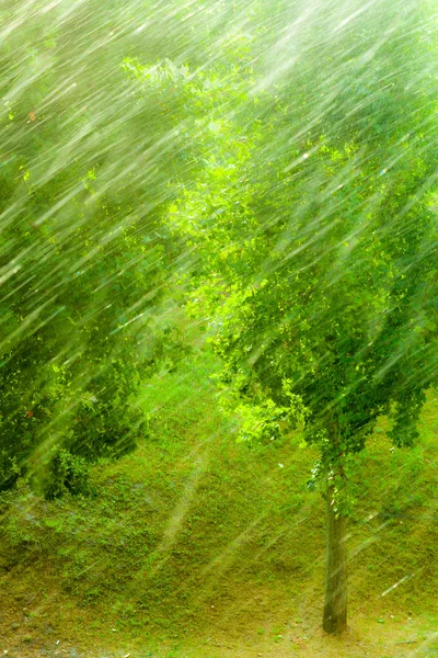 ฝนฤดูร้อนนอกหน้าต่าง — ภาพถ่ายสต็อก