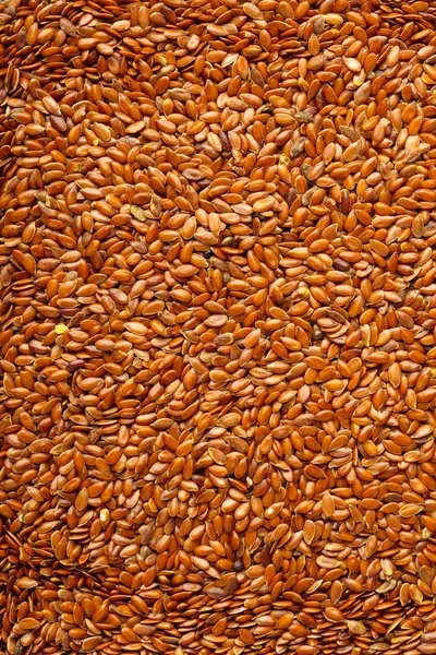 Flax seeds — Stock Photo, Image