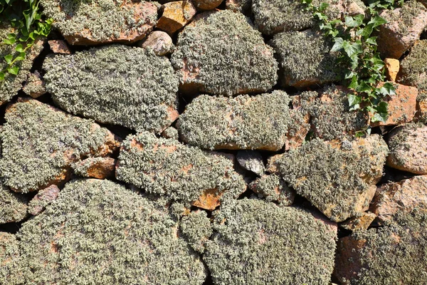 Fond de roche de pierre avec lichen et mousse — Photo