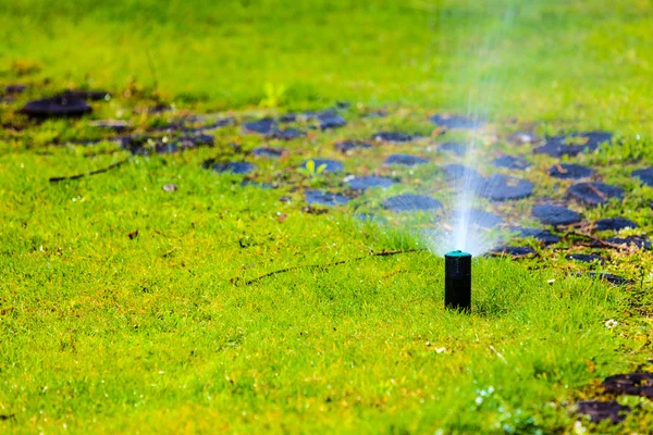 Lawn sprinkler spraying water — Stock Photo, Image