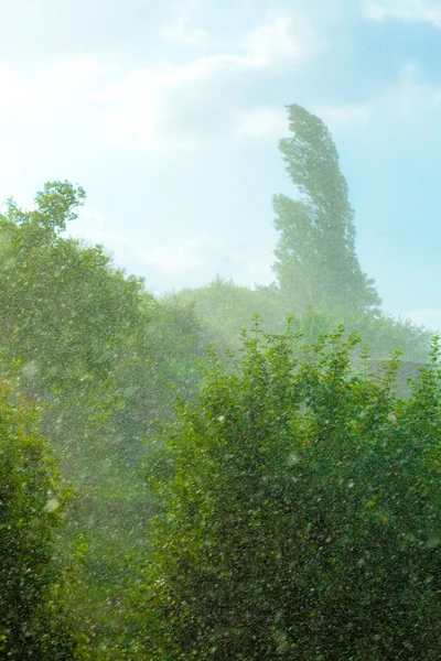 Deszcz poza oknem — Zdjęcie stockowe