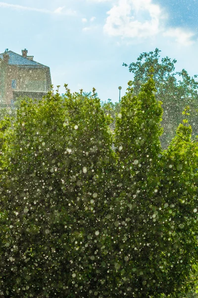 Esős külső ablak zöld háttér textúra. — Stock Fotó