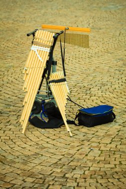 Music wind instrument, clipart