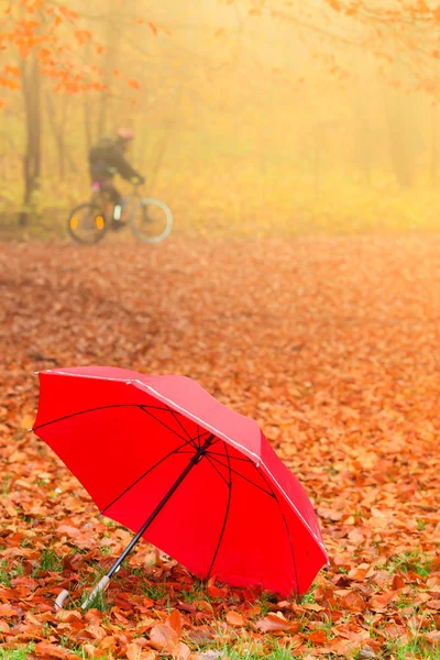 Paraguas sobre el fondo de las hojas de otoño . —  Fotos de Stock