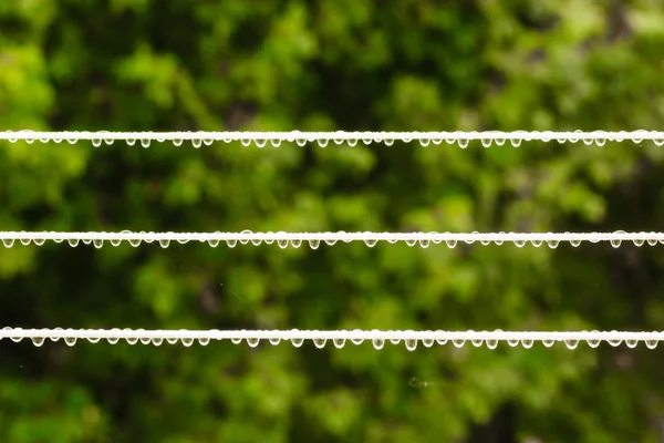 Cordas com gotas de chuva — Fotografia de Stock