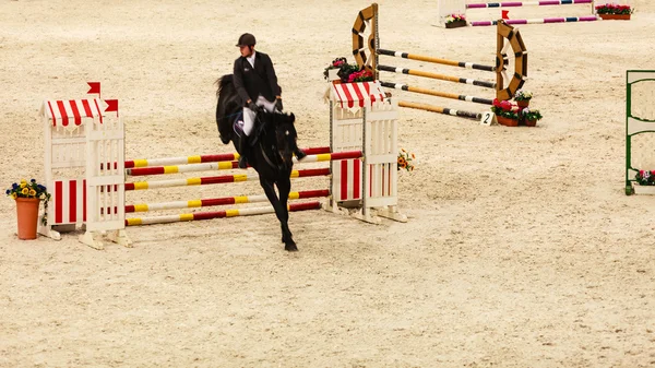 Kuda dan penunggang melompat — Stok Foto